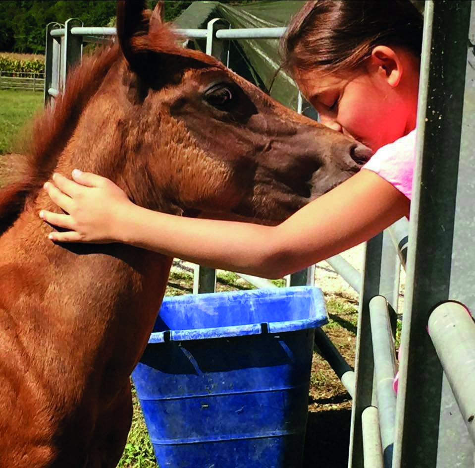 Bambina che abbraccia un puledro marrone in una baby farm. Affetto tra bambino e animale.