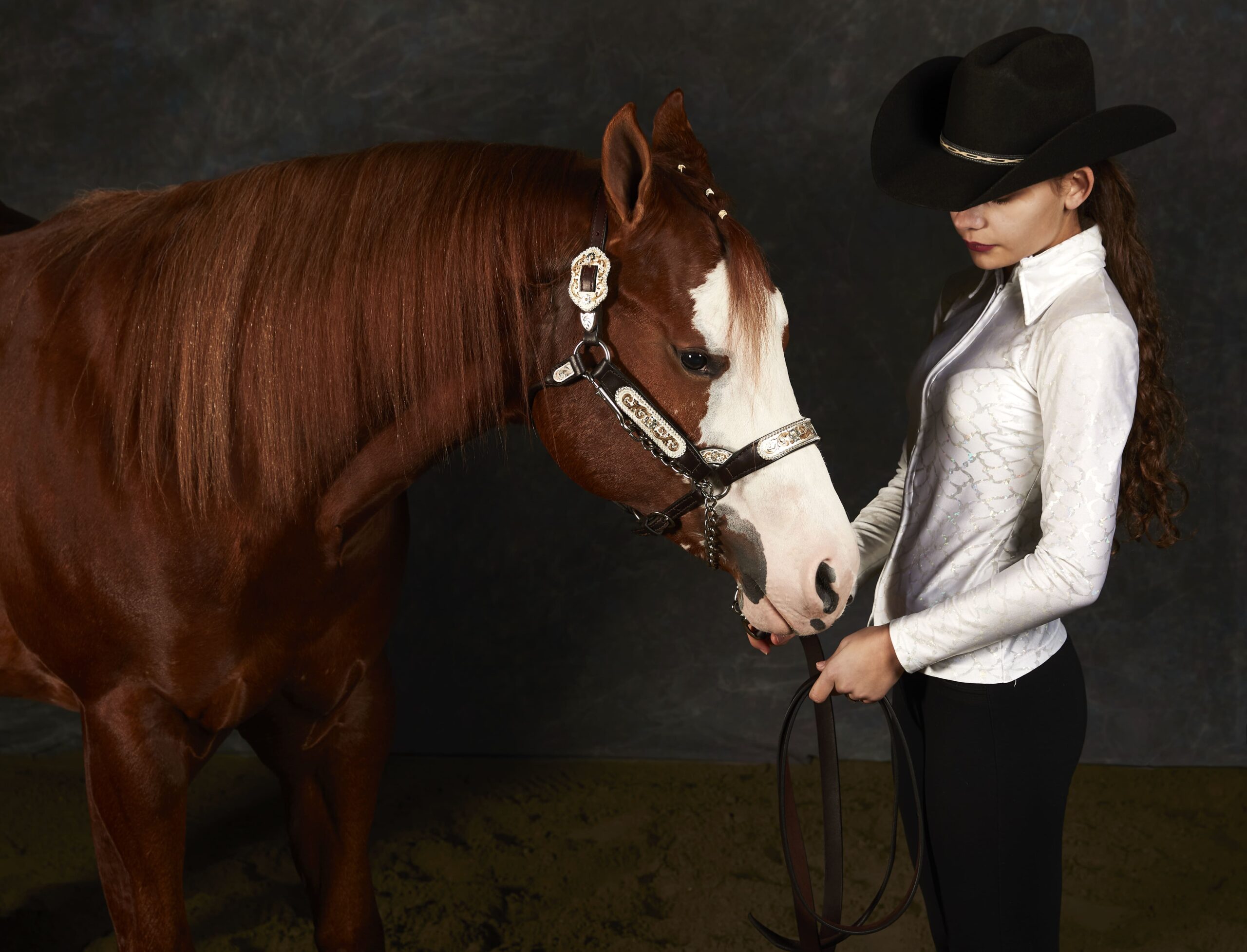 Cavallo skatch 25_11_20210189_emilia