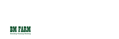 Logo BM Farm: cavallo con cavaliere, "Breeding Training Showing