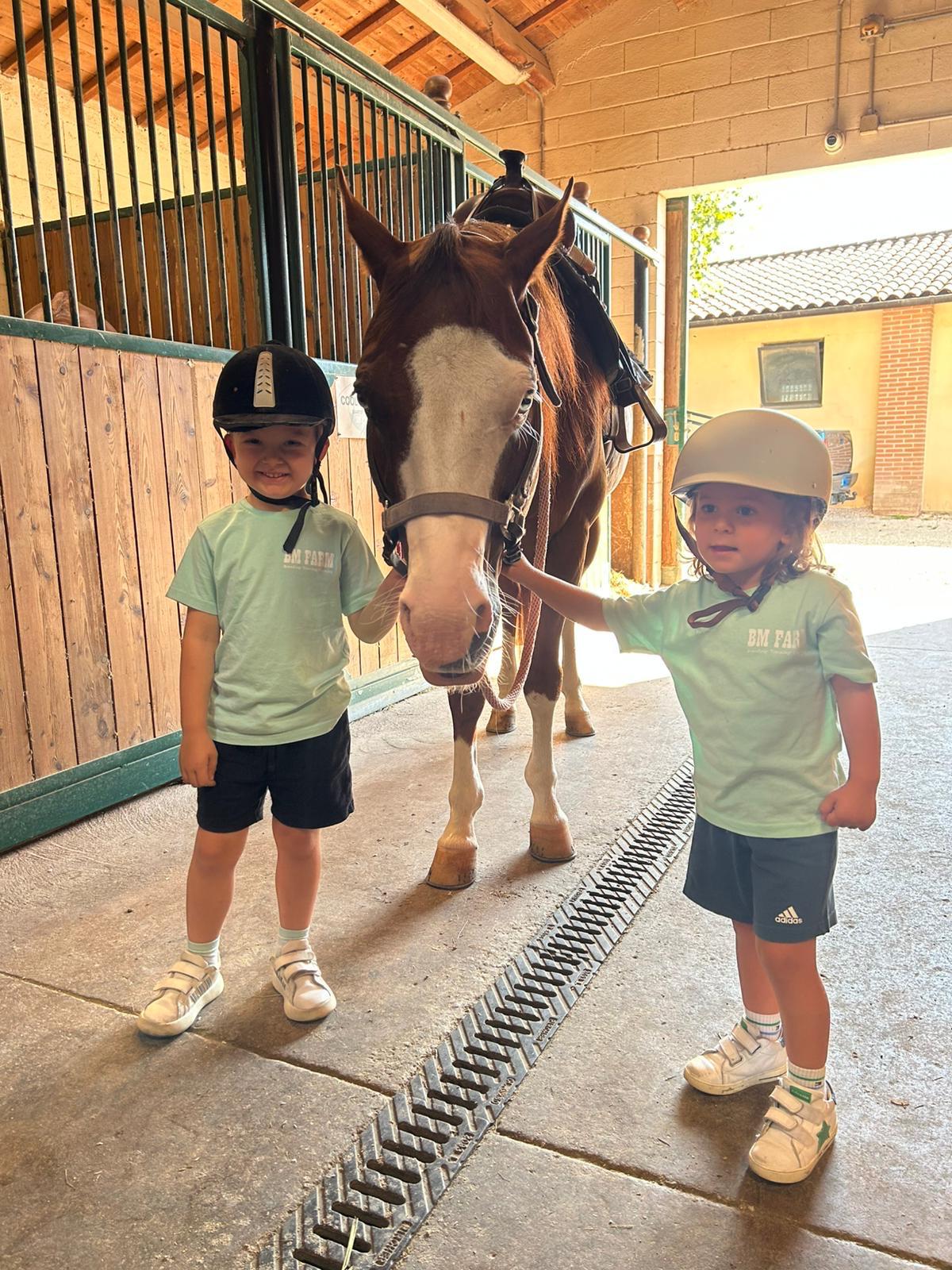 Two young children with a horse at a baby farm. They wear helmets and matching shirts.